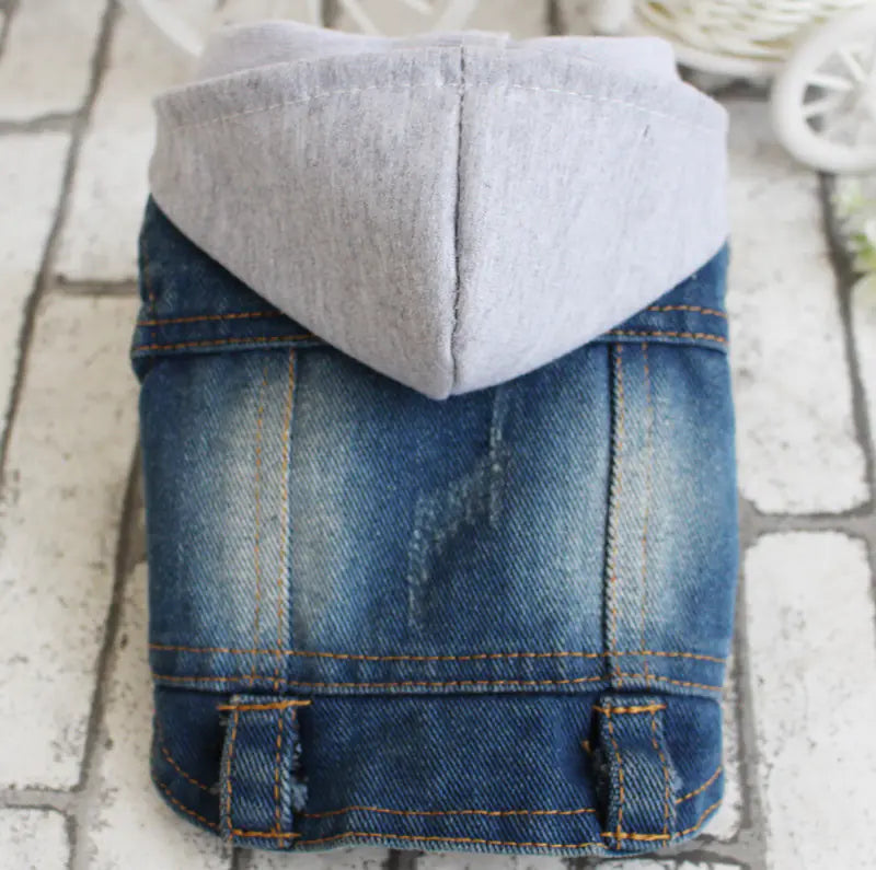 Gray Denim Vest Coat for Bichon - Spring & Summer Pet Wear