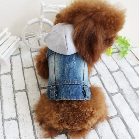 Gray Denim Vest Coat for Bichon - Spring & Summer Pet Wear