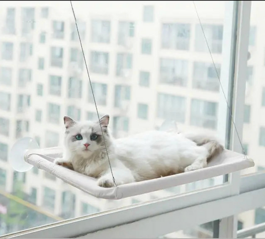 Cat Hanging Bed Shelf