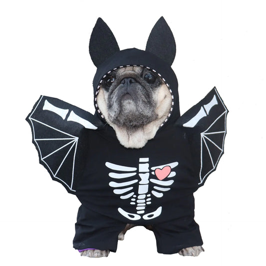 Black Bat Costume for Dogs